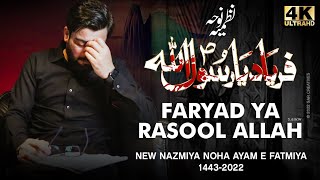 فریاد یا رسول الله (ص) | Mir Hasan Mir Ayam e Fatmiya Noha 2022 | نوهای جدید 2021