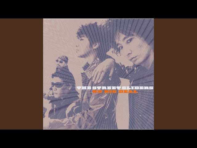 THE STREET SLIDERS「SLIDERS THE VIDEO 1983-2000」Disc6