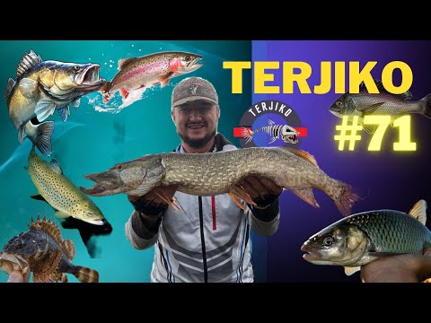#71. ახლაც არ დაწერთ ლაიქს და არ გააზიარებთ ვიდეოს გამეიწერეთ თერჯიკოს არხი!!! TerjiKo Fishing.