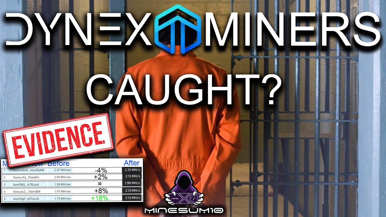 Top Dynex miners - are they cheating ?