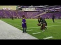 Stefon Diggs plays catch with kid on the field! Stefon Diggs catch with kid! Vikings catch with kid