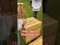 Hands-on Hive Inspection in the Teaching Apiary