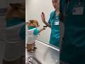 😂 Dog Slaps Doctor During Injection! Unexpected Funny Moment#funny #dog #viralvi  March 17, 2026