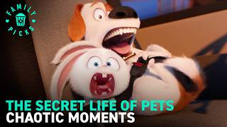 Snowball's MOST Chaotic Moments with Max & Duke | The Secret Life of Pets