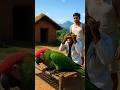 Monkey and Farmer Desperately Trying To Recover The Parrot 😭 #ai #farmer #monkey #parrot