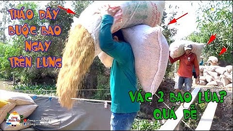 Ông Chú Vác 2 Bao Lúa Xuống Ghe Lúa Như Đi Chơi, Mở Miệng Bao Trên Vai Quá Đỉnh - Long Miền Tây