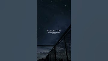 تلاوة خاشعة ومؤثرة 🥺💗 قرآن كريم 🤍 #المصحف #الرحمن #راحة_نفسية #لايك #اكسبلور