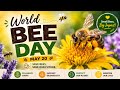world bee day 2026 . SP 10 News