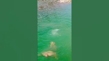 Summing Kapisa Province 