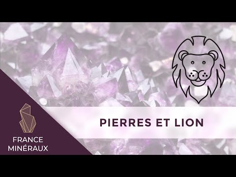 Vidéo: Quelles Pierres Conviennent Au Lion