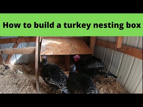 How To Build A Turkey Nesting Box