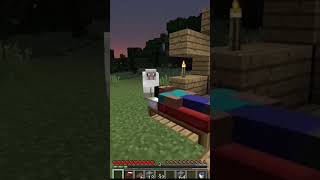 овечка стала Стивом #minecraft #майнкрафт #mem