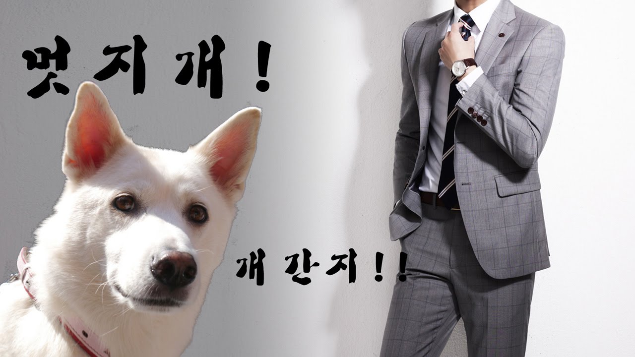 개간지 Dog Fashionista YouTube