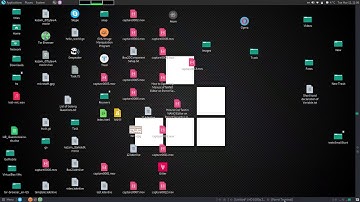 How to Copy Text From Terminal to NANO Editor on Parrot Security Linux