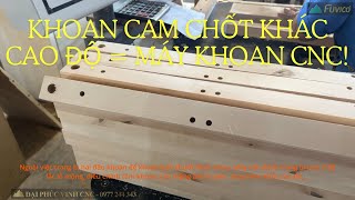 Khoan cam khác cao độ, lọng lỗ mộng với máy khoan cam cnc 2 đầu có trục Z Holztek CNC-2500B2