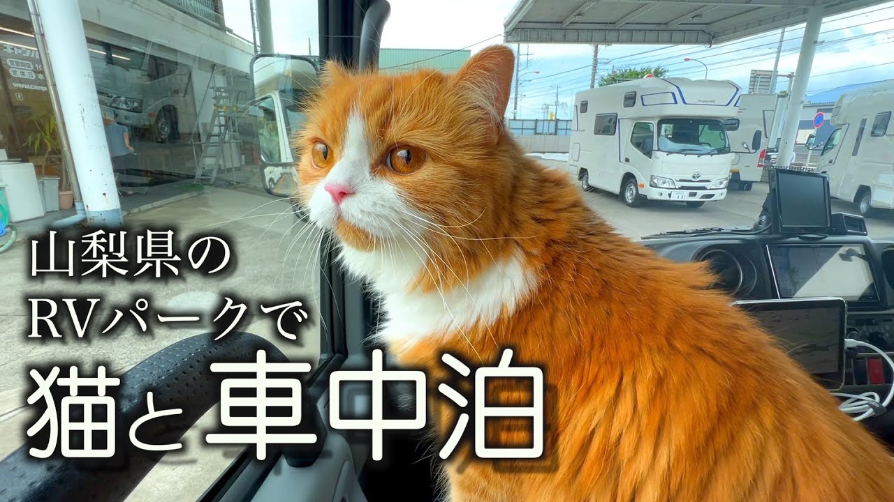 【猫とキャンピングカーで車中泊】山梨の道の駅のRVパークで車中泊／リニア見学センターへ
