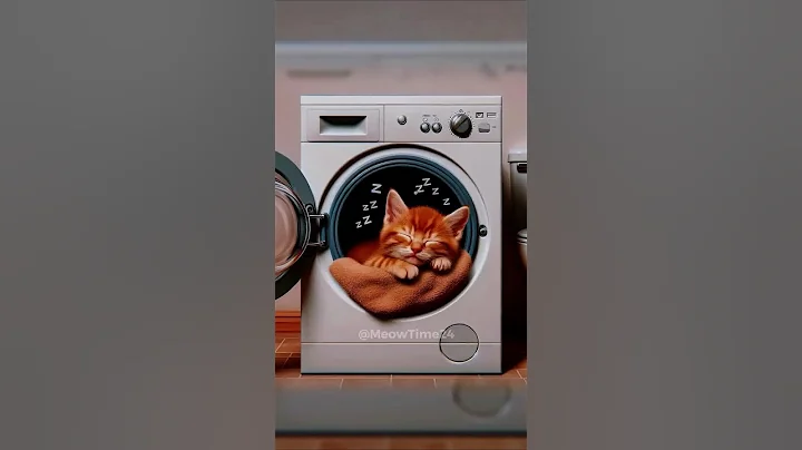 Watch the video about Sleeps in washing machine!🙀 #cat #cute