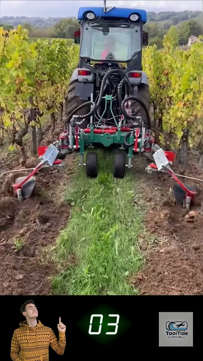 Top Agricultural Expert Reveals Best Techniques for WEED CONTROL with Dual Tri-Blade Farming Machine