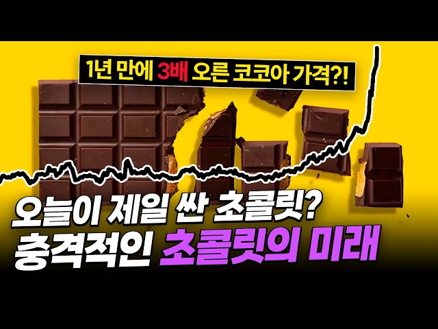 "값싼 초콜릿 시대는 끝났다"? 초콜릿 산업의 씁쓸한 이면