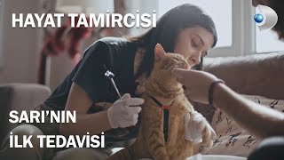 Veteriner Hekimimiz Esra Şenol Sarıyı Tedavi Ediyor - Hayat Tamircisi 8Bölüm