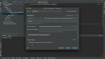 add command line arguments on IntelliJ IDEA