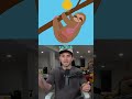 Animals With Bad Designs
