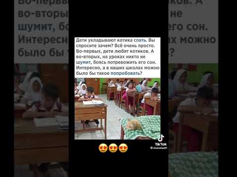 В Индонезии учителя добиваются тишины на уроках, укладывая спать котика