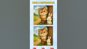 Find the Differences!