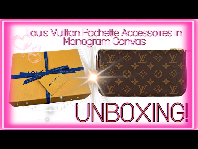 Louis Vuitton Mini Pochette Accessoire Illust Evasion Monogram M41655 in  2023