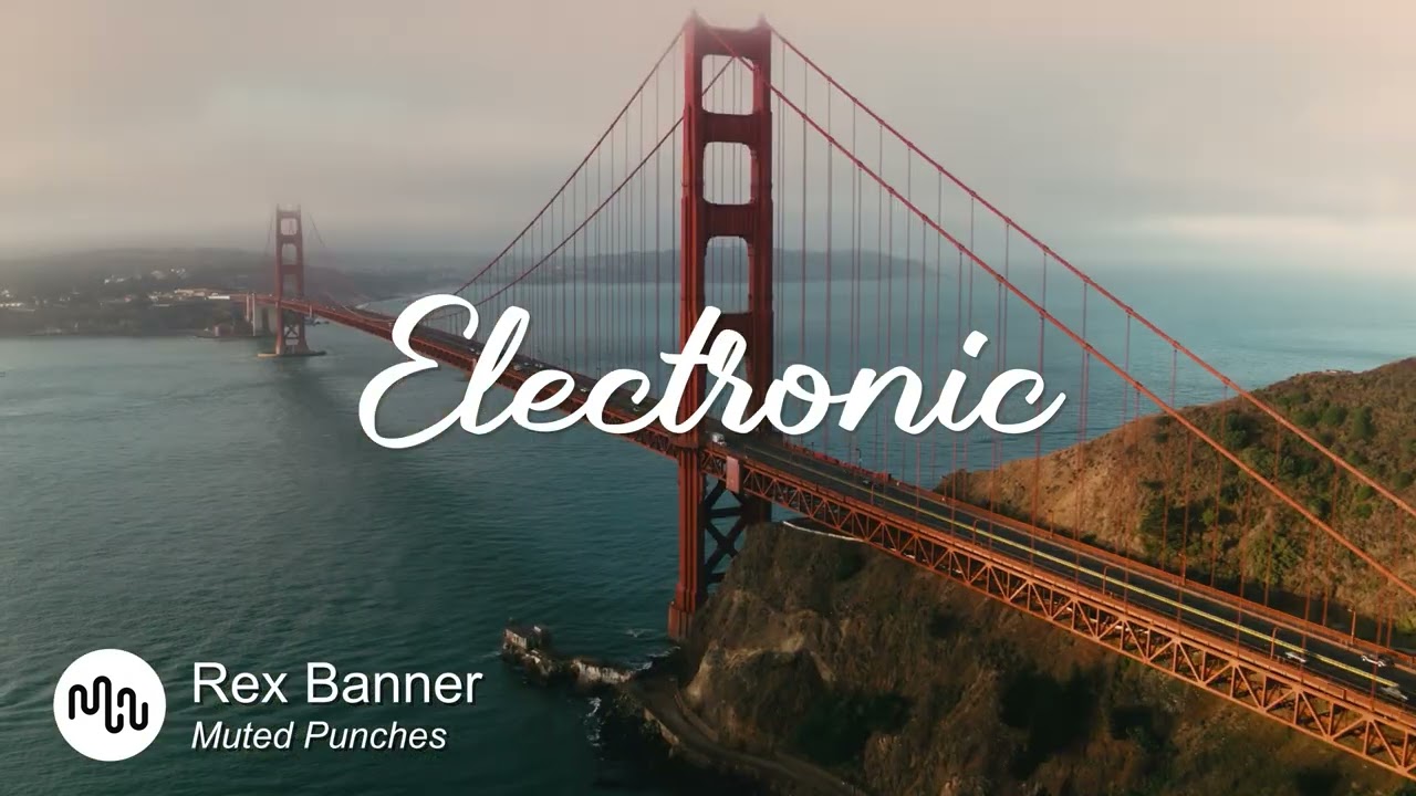 Best Carefree Electronic Music for Video [ Rex Banner - Muted Punches ]