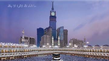 سورة الحــاقـة | أنــس العمـــادي