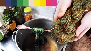Dyeing Wool Yarn With Jaquard Acid Dye by Last Minute Laura 461 views 4 months ago 17 minutes