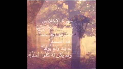 سورة الإخلاص الشيخ لافي العوني