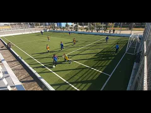 ორგანიზებული შეტევა და გიორგი ნიჟარაძის გოლი