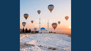 只是太爱你 (R&B版)