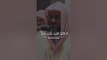 (يأيها اللذين آمنو لا تقتلوا الصيد و أنتم حرم) | تلاوة خاشعة للشيخ سعود الشريم من سورة المائدة