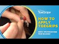 How to apply toegrips dog nail grips