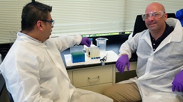 How To: Build a Standard Curve Using Serial Dilutions