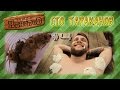 Турнир ИдиотоВ - Сто тараканов [Сезон 3, выпуск 4]