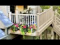 Get Inspired with Plant Traps