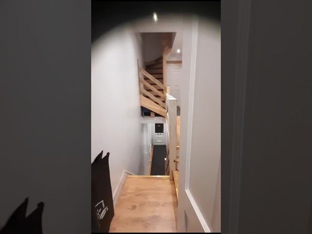 Video 1:
