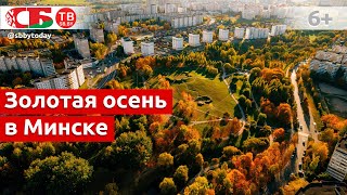 Золотая осень в Минске | красивое аэровидео | видео 4k UHD
