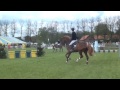 Nixon van t meulenhof denzel x carthago  sbb competition 4 years old horses