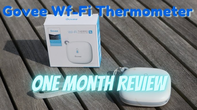 Best Govee WiFi Thermometer