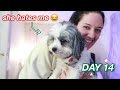 VLOGMAS 2021 DAY 14 | hung over & tired but wont admit it, family day, inkey list skincare routine