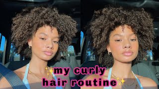 My 3c / 4a Curly Hair Routine + grwm chit chat