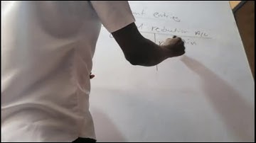 Capital Reduction Part 3