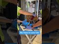 This Poor Dog Almost Died | Dog Rescue | #shorts #dog