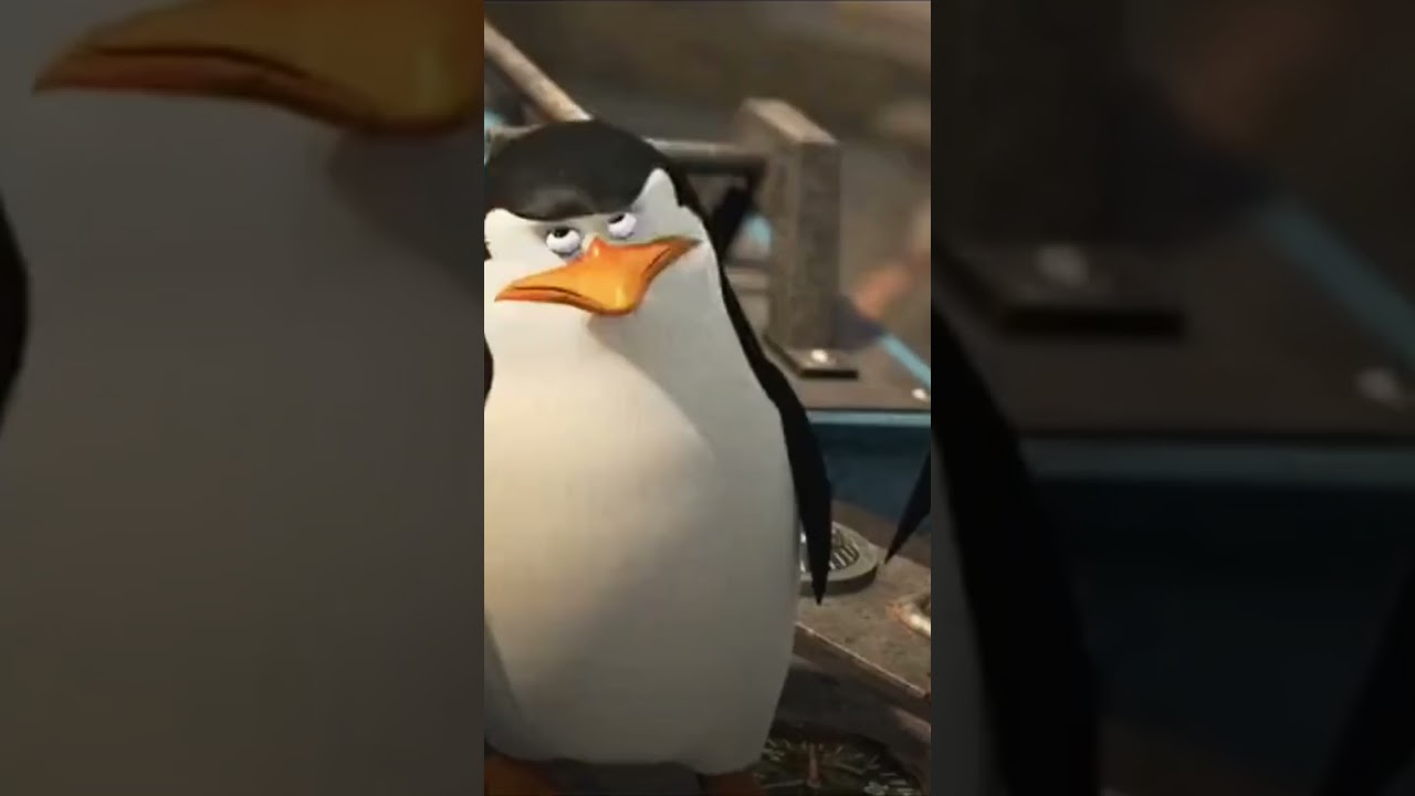 Rico was down to throw hands with a lion 