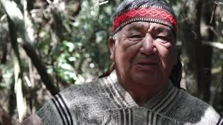 "Documental Menokos" - Ercilla
